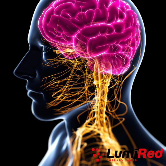 Illuminating the Brain: The Potential of Red Light Therapy for Neurological Conditions